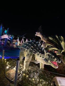 伊豆ぐらんぱる公園に投稿された画像（2024/1/3）