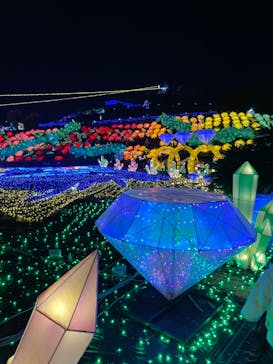 伊豆ぐらんぱる公園に投稿された画像（2024/1/3）