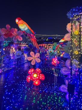 伊豆ぐらんぱる公園に投稿された画像（2024/1/3）