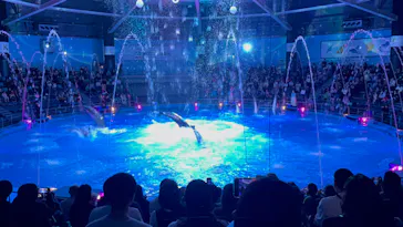 マクセル アクアパーク品川に投稿された画像（2024/1/3）