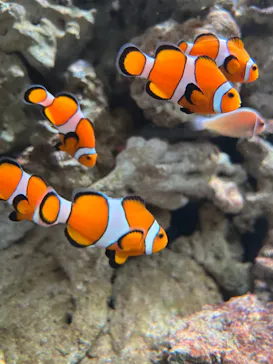 マクセル アクアパーク品川に投稿された画像（2024/1/3）