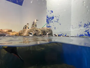 マクセル アクアパーク品川に投稿された画像（2024/1/3）