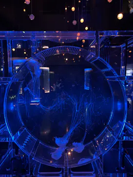 マクセル アクアパーク品川に投稿された画像（2024/1/3）