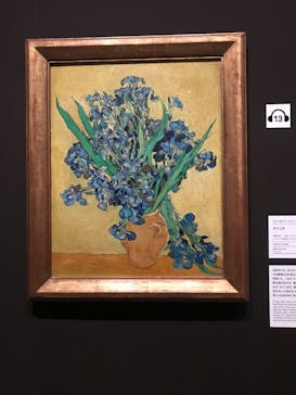 ゴッホと静物画　伝統から革新へ（SＯＭＰＯ美術館）に投稿された画像（2024/1/3）