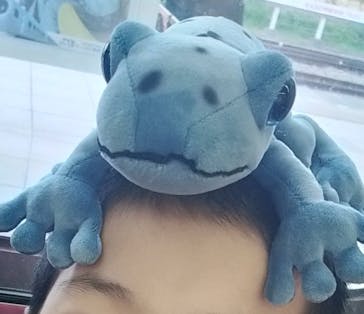 サンシャイン水族館に投稿された画像（2024/1/2）