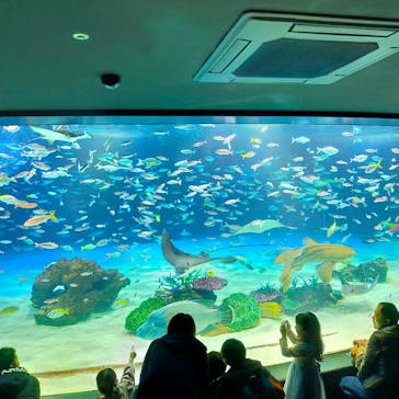 サンシャイン水族館に投稿された画像（2024/1/2）