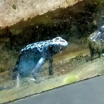 サンシャイン水族館に投稿された画像（2024/1/2）