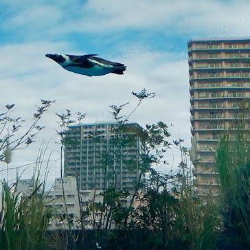 サンシャイン水族館に投稿された画像（2024/1/2）