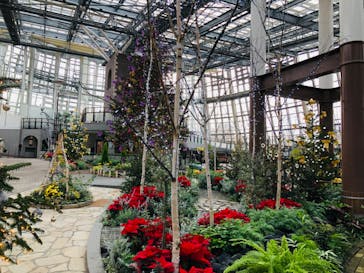 安城産業文化公園デンパークに投稿された画像（2024/1/3）