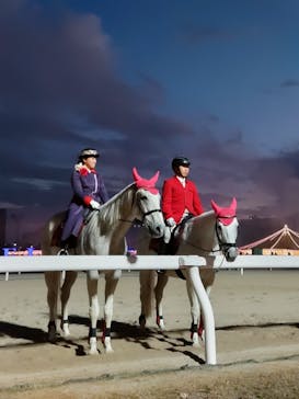 東京メガイルミに投稿された画像（2024/1/3）