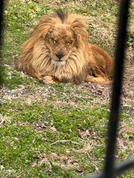 那須サファリパークに投稿された画像（2024/1/3）