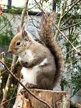 那須どうぶつ王国に投稿された画像（2024/1/3）