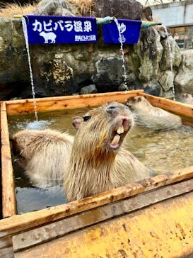 那須どうぶつ王国に投稿された画像（2024/1/3）