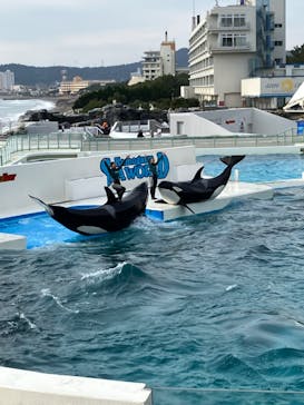 鴨川シーワールドに投稿された画像（2024/1/3）