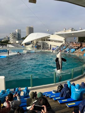鴨川シーワールドに投稿された画像（2024/1/3）
