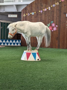 ノーザンホースパークに投稿された画像（2024/1/3）