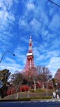 東京タワーに投稿された画像（2024/1/3）