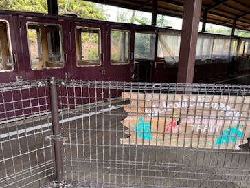 ネオパークオキナワに投稿された画像（2024/1/3）