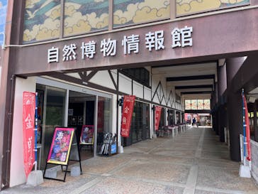 ネオパークオキナワに投稿された画像（2024/1/3）