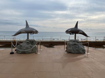 鴨川シーワールドに投稿された画像（2024/1/3）