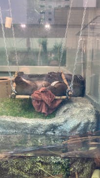 サンシャイン水族館に投稿された画像（2024/1/3）