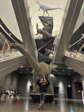 福井県立恐竜博物館に投稿された画像（2024/1/3）