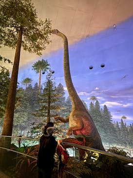 福井県立恐竜博物館に投稿された画像（2024/1/3）