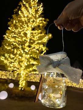 いばらきフラワーパークに投稿された画像（2024/1/3）