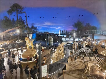 福井県立恐竜博物館に投稿された画像（2024/1/3）