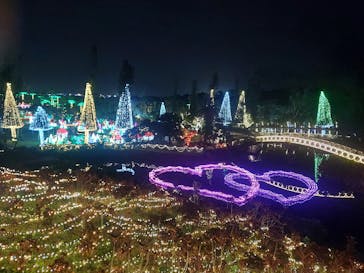 美らヤシパークオキナワ・東南植物楽園に投稿された画像（2024/1/3）