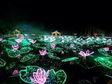 美らヤシパークオキナワ・東南植物楽園に投稿された画像（2024/1/3）