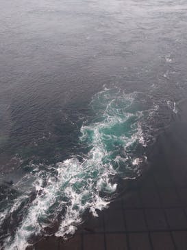 徳島県立 渦の道に投稿された画像（2024/1/3）