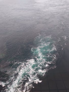 徳島県立 渦の道に投稿された画像（2024/1/3）