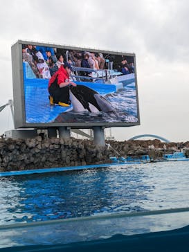 名古屋港水族館に投稿された画像（2024/1/3）