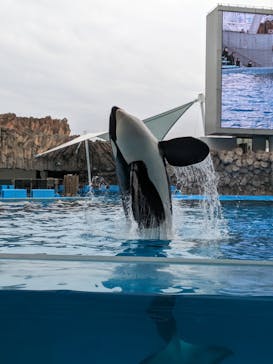 名古屋港水族館に投稿された画像（2024/1/3）