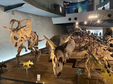 福井県立恐竜博物館に投稿された画像（2024/1/3）