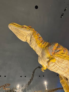 福井県立恐竜博物館に投稿された画像（2024/1/3）