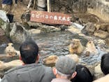伊豆シャボテン動物公園に投稿された画像（2024/1/3）