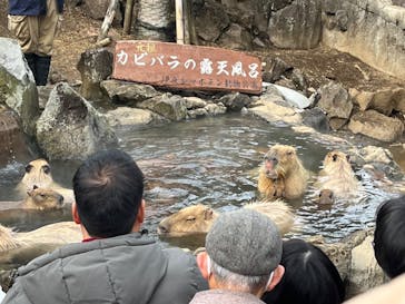 伊豆シャボテン動物公園に投稿された画像（2024/1/3）