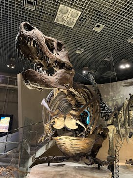 国立科学博物館に投稿された画像（2024/1/3）