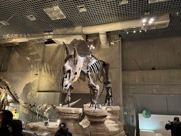 国立科学博物館に投稿された画像（2024/1/3）