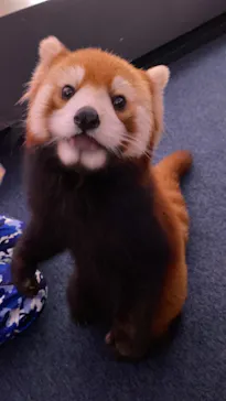 横浜・八景島シーパラダイスに投稿された画像（2024/1/3）