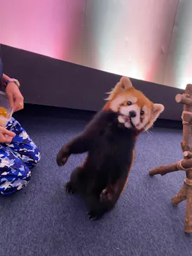 横浜・八景島シーパラダイスに投稿された画像（2024/1/3）