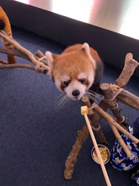 横浜・八景島シーパラダイスに投稿された画像（2024/1/3）