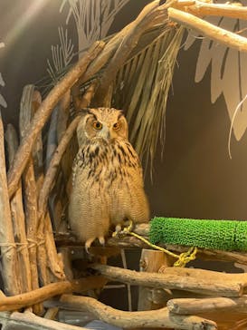 カワスイ 川崎⽔族館に投稿された画像（2024/1/3）