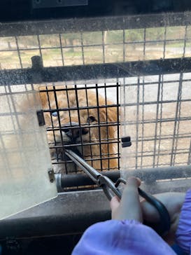 群馬サファリパークに投稿された画像（2024/1/3）