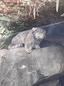 神戸どうぶつ王国に投稿された画像（2024/1/3）