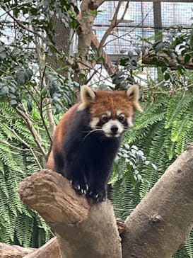 神戸どうぶつ王国に投稿された画像（2024/1/3）