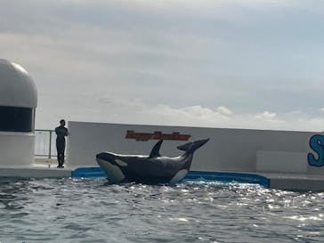 鴨川シーワールドに投稿された画像（2024/1/3）