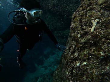 DIVING-SHOP SUNSに投稿された画像（2024/1/3）